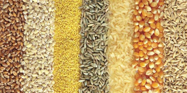 Grains