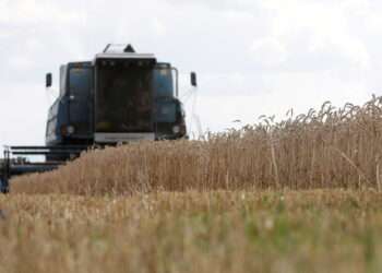 A combine harvesters  in a field