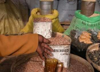 AGRA did not meet its headline goal of increasing incomes and food security for 9 million smallholders