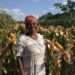 Smallholder farmer