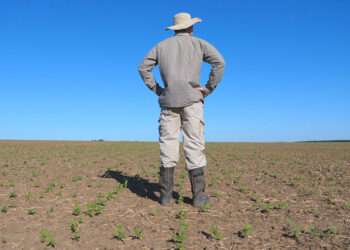 Ghana’s Agricultural Subsidy Program to Improve Food Security? 2 A farmer on his farm
