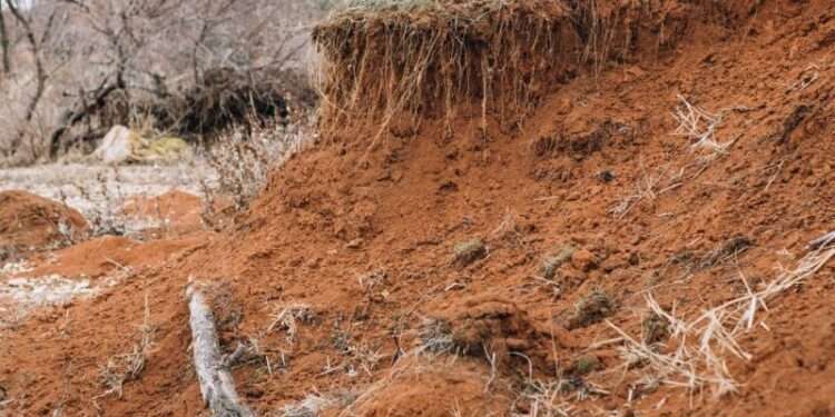 Land degradation