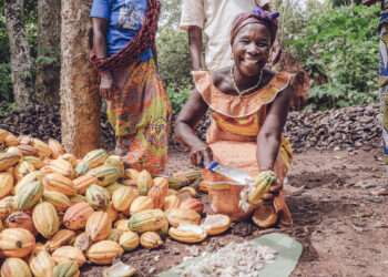 ‘CANOHYE’ Initiative to Improve Cocoa Farmers’ Livelihoods 2 Cocoa farmer