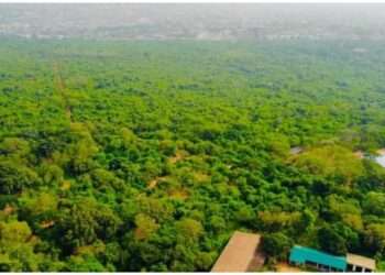 Aerial view of Achimota forest