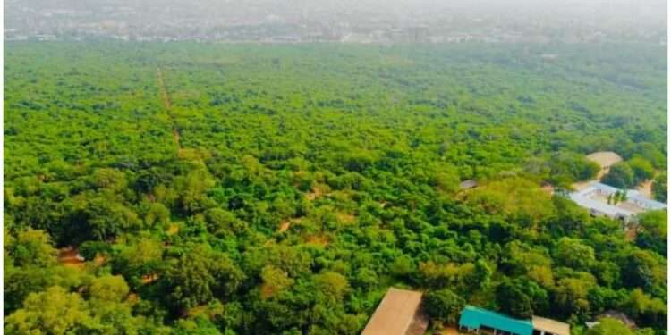 Hold On To Rest Of Land For Relevant National Purposes- Occupy Ghana On Achimota Forest Saga 1 Aerial view of Achimota forest