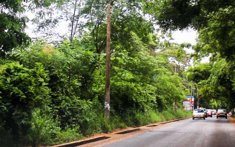 Hold On To Rest Of Land For Relevant National Purposes- Occupy Ghana On Achimota Forest Saga 3 inbound3162443863105091055 750x470 1