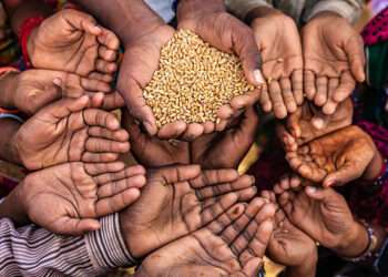 2022, year of hunger