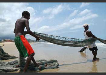 Fishermen at work