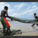 Fishers Appeal to Gov’t for Support as Fishing on The Weija Reservoir Becomes Unsafe 13 Fishermen at work
