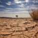 Ghana National Drought Plan, Ghanaians Urge to Rise from Drought Together