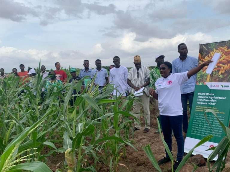 Economics Seed Priducers 768x575 1