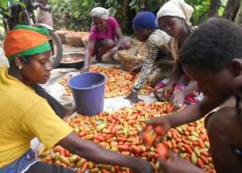 Women farmers