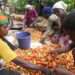 Women farmers