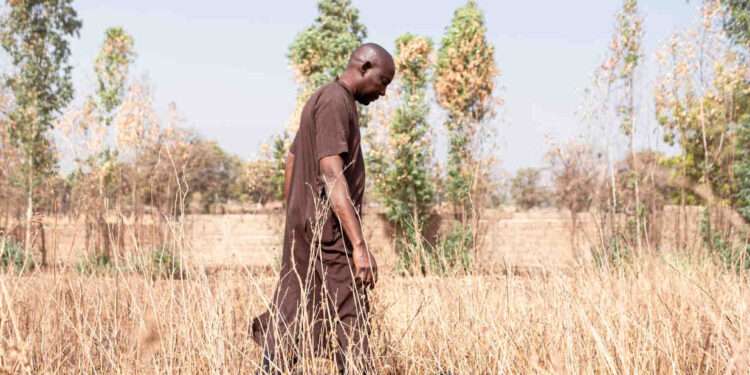 Malawi: African Development Bank Approves $9.25 Million For Climate Disaster Risk Program 1 Malawi: African Development Bank Approves $9.25 Million For Climate Disaster Risk Program