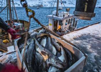 Power to the fishers project