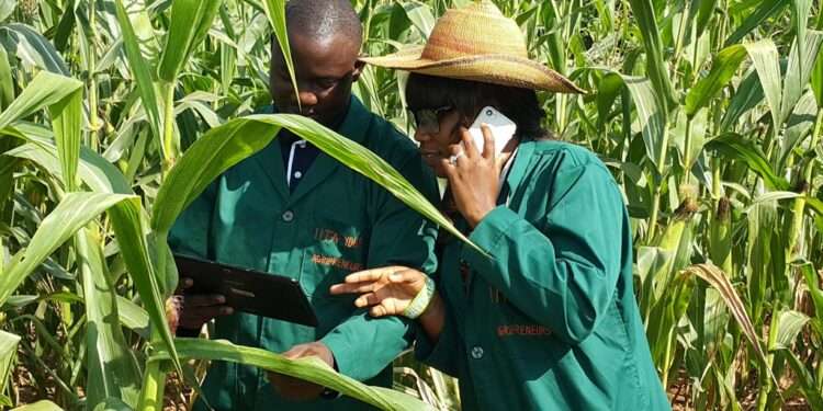 Maximize Government Initiatives, MCE to Ghanaian Youth 1 Youth in Agric