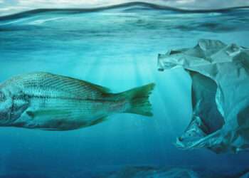 Plastic in water