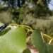 Farmers Equipped with BSF Technology, Soil Fertility to Improve 12 BSF Technology