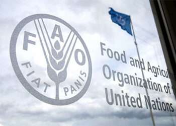 FAO