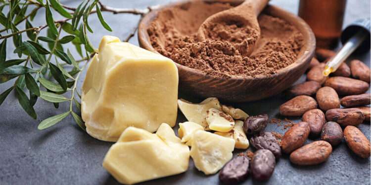 Non-Traditional Exports Growing At An Average Rate Of 4% Over The Last 5 Years