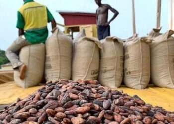 COCOBOD Strengthens Anti-Smuggling Measures to Protect Ghana’s Cocoa Industry