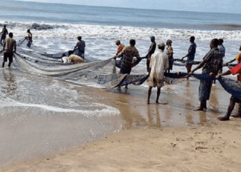 Administrator at the National Premix Secretariat, Nana Abrokwah Asare, has revealed that premix fuel for fishermen has been highly subsidized by government.