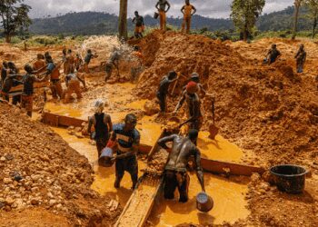 Pressure group, OccupyGhana, has lamented the destruction to lands and water bodies caused by illegal mining in the country.