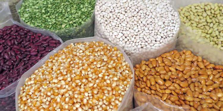 NASTAG Demands Government Pays GH¢207million Debt It Owes 1 slider grain