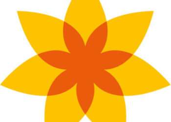 mPharma Launches ‘Hypertension Test and Treat Program’ To Control Hypertension In Africa