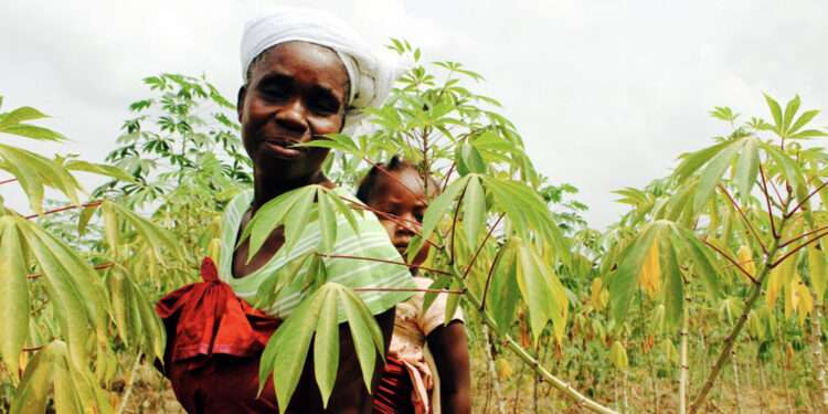 Liberia: African Development Bank Group Approves $5.12 Million Financing For Emergency Food Production Program