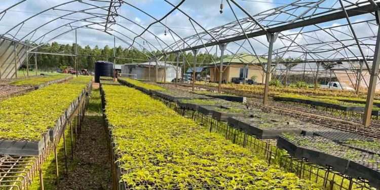 SEFA Approves $1million Reimbursable Grant To Develop Bioenergy Plants In Ghana And Sierra Leone