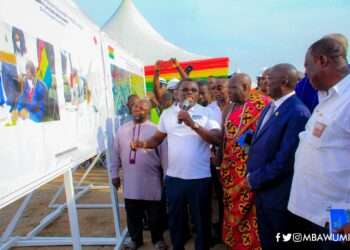 Vice President, Dr Mahamudu Bawumia.
