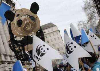 WWF Proposes ‘Debt-for-Nature’ to Zambia for Restructuring