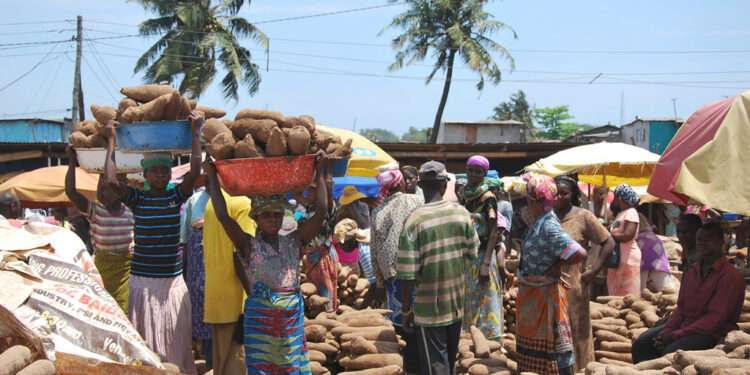 Producer Price Inflation Rate Marginally Declines To 52.1 % In January