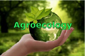 MoFA Initiates A Training For Lead Farmers On Agroecology Principles And Concepts