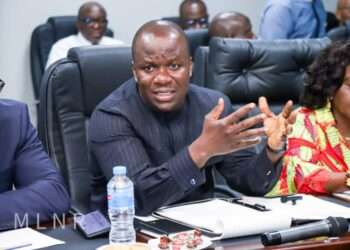 Minister of Lands and Natural Resources, Samuel Abu Jinapor.