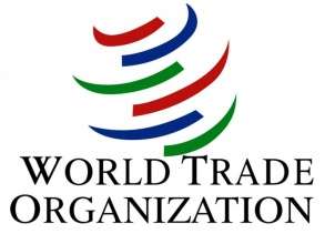 The World Trade Organizations WTO