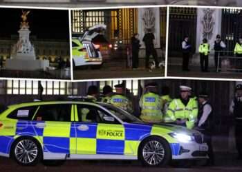 A man has been arrested after he approached the gates of Buckingham Palace and threw items “suspected to be shotgun cartridges” into the palace grounds, police say.