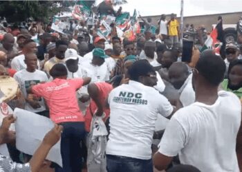 NDC primaries