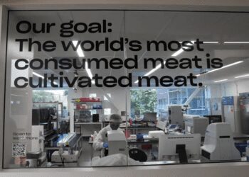 A scientist works in a cellular agriculture lab at Eat Just in Alameda, Calif., Wednesday, June 14, 2023.