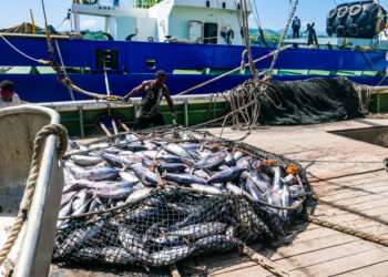 African workers of EU fishing vessels strike over poor salary and Poor working condition.