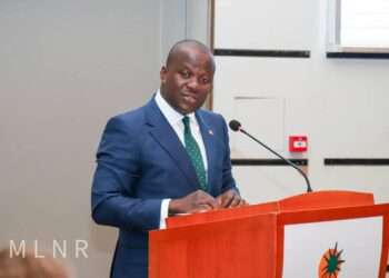 Minister for Lands and Natural Resources, Samuel Jinapor.