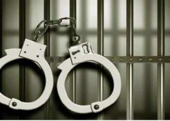 EOCO Arrests 425 Individuals for Operating Unlicensed Digital Loan Apps 3 25156576