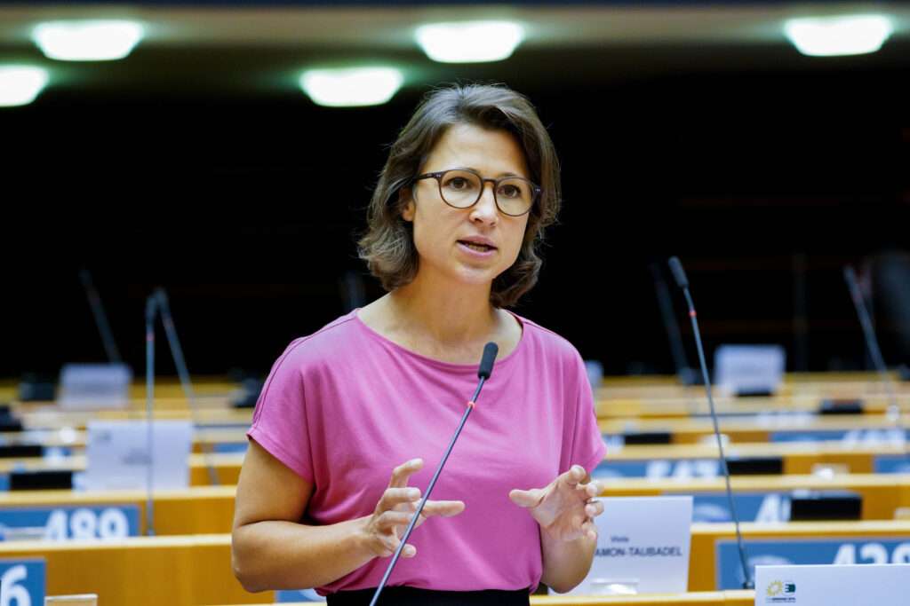 Hannah Neumann EU Officail