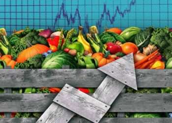 World Bank Ranks Ghana Among the First 10 Countries Globally with Highest Food Inflation