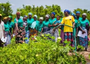 EUGAP Renews Partnership with Agrihouse Ahead of Annual Pre-Harvest Agribusiness Conference 1 EUGAP Renews Partnership with Agrihouse Ahead of Annual Pre-Harvest Agribusiness Conference