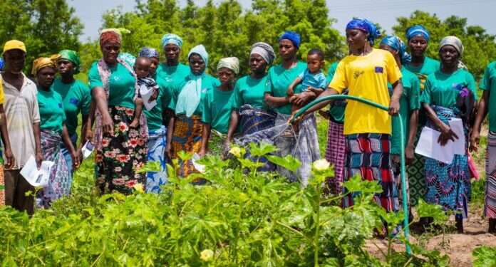 EUGAP Renews Partnership with Agrihouse Ahead of Annual Pre-Harvest Agribusiness Conference