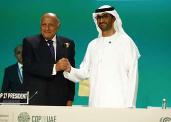 Egypt's Minister of Foreign Affairs Sameh Shoukry hands over the ceremonial gavel to COP28 President Sultan Al Jaber in Dubai.