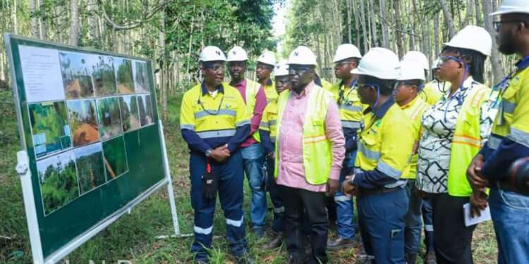 Deputy Minister for Lands and Natural Resources responsible for Lands and Forestry, Benito Owusu-Bio.
