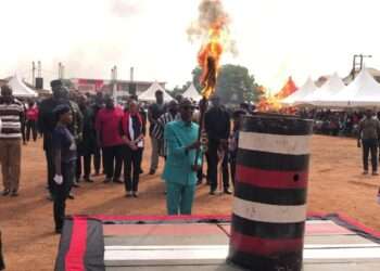 Asiedu Nketia, NDC National Chairman